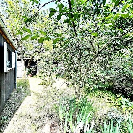 Harmonie - Agreable Maison Situee Dans Un Ecrin De Verdure 라 트럼블라드 외부 사진